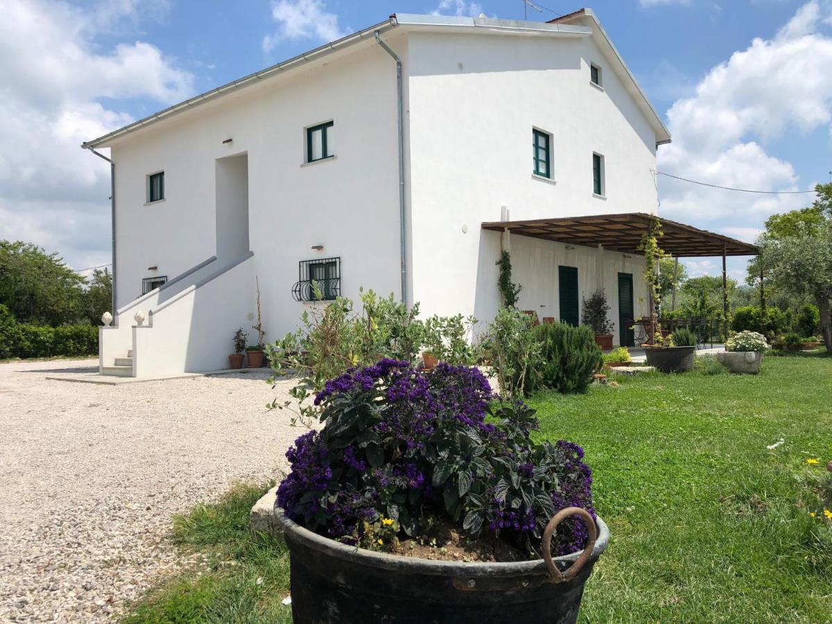 Serre  Casa Agricola Scorziello 빌라 외부 사진