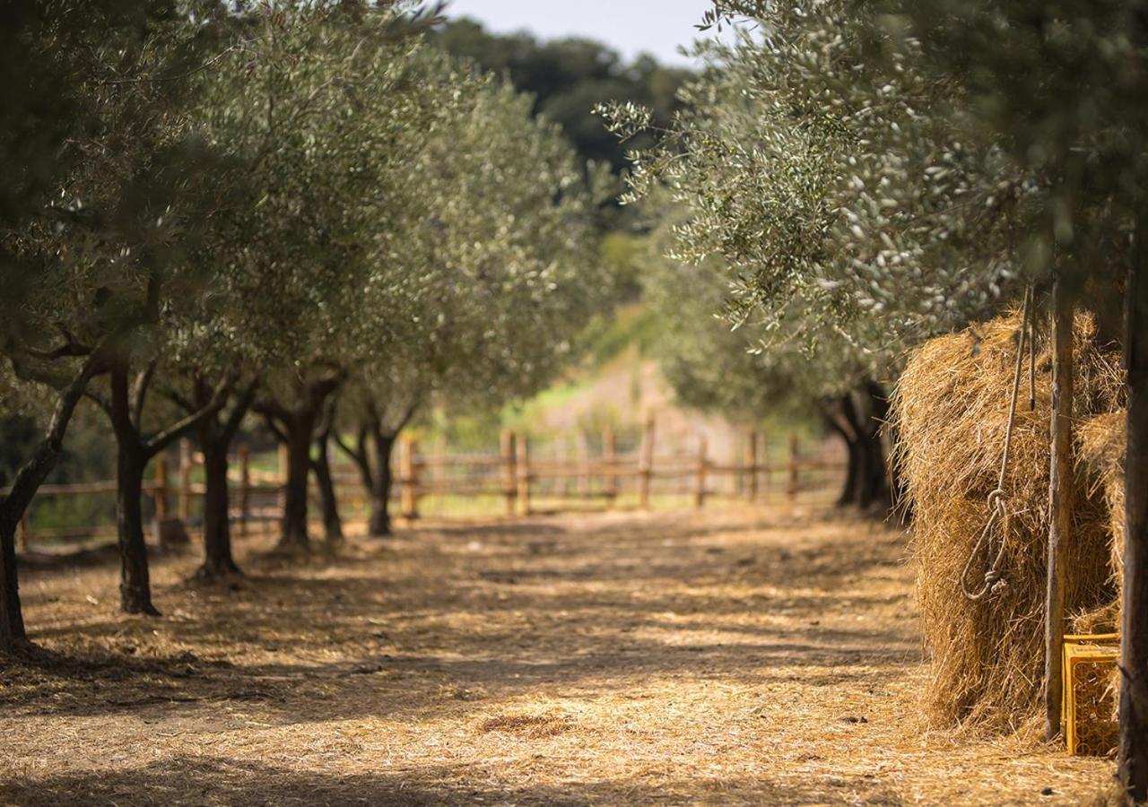 Serre  Casa Agricola Scorziello 빌라 외부 사진